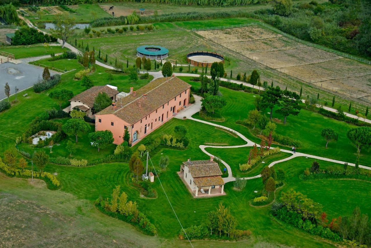 La Magnifica B&B Fauglia Buitenkant foto