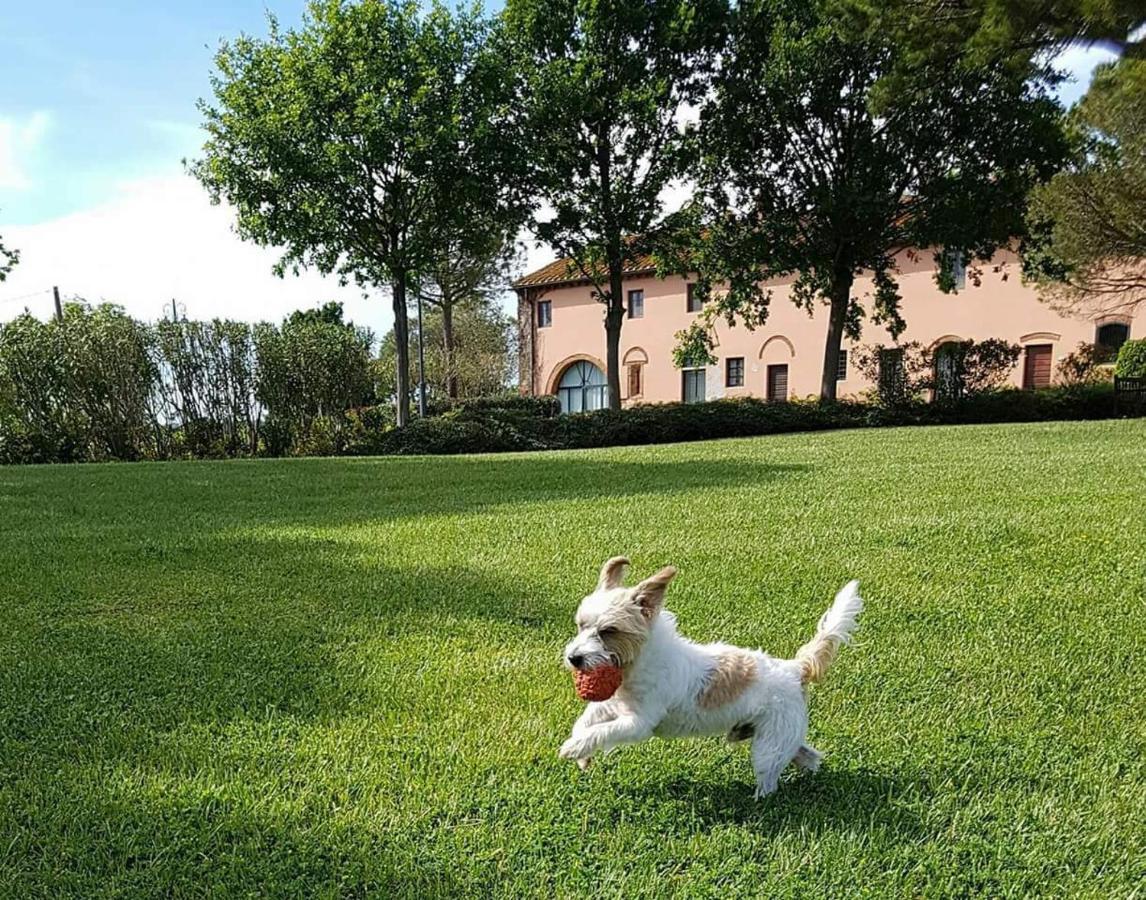 La Magnifica B&B Fauglia Buitenkant foto